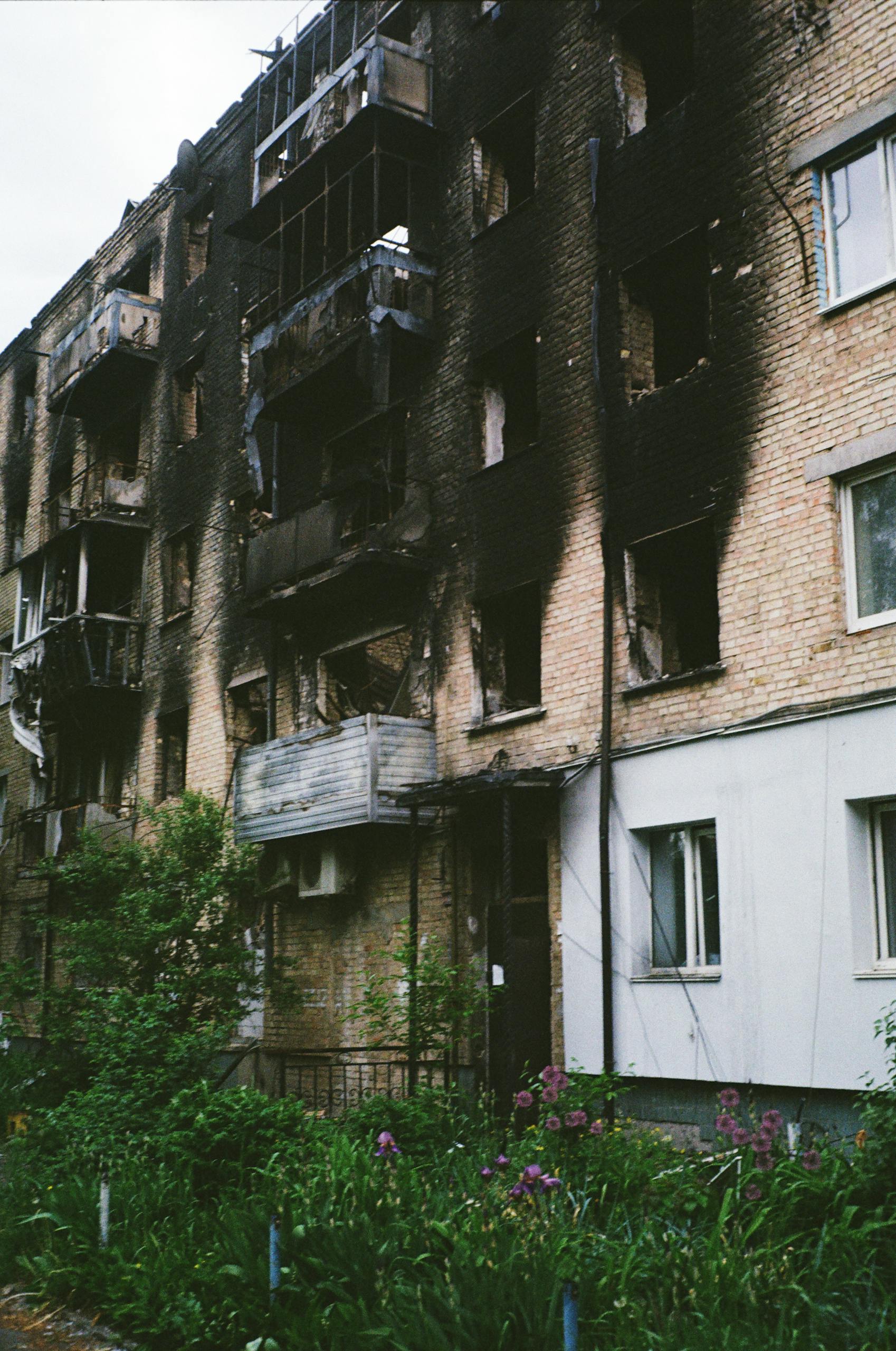 Заголовок